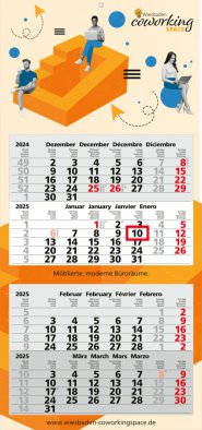 Synergie 4-Monatskalender/Planer Synergy Monats Kalender 2025